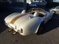 Other AC Cobra Gardner Douglas GD-350