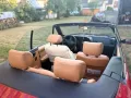 Peugeot 306 Cabriolet BJ1994 2te Hand TÜV ...
