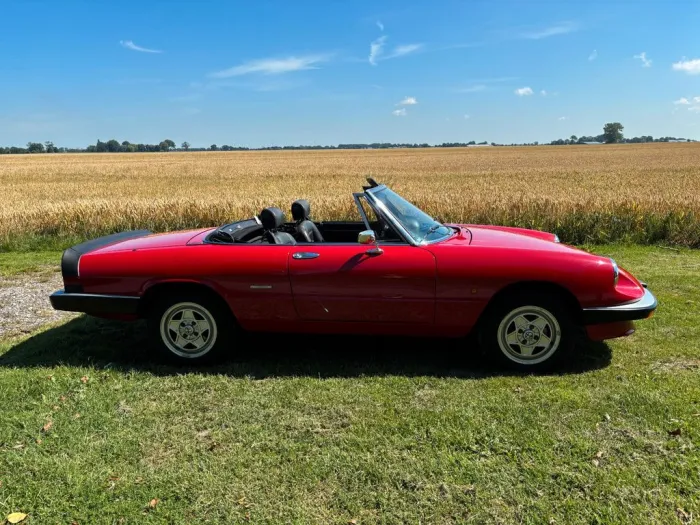 Alfa Romeo Spider