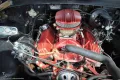 Ford F 100