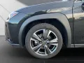 Lexus UX 250h*EXECUTIVE*PANO*PREMIUM*1HD*PANO* HUD*