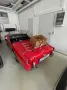 Triumph TR3