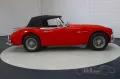 Austin Healey 3000MK3 - restauriert - 1966