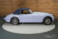 Jaguar XK XK150 Cabrio - restauriert - Hermès Blauw - 1