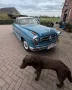 Other Borgward Isabella