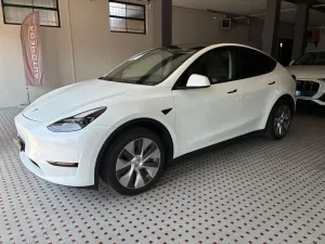 Tesla Model Y Aziendale Single Motor rwd