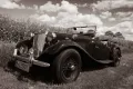 MG TD 1951