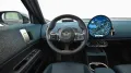 MINI Favoured Trim