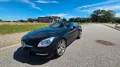 Mercedes-Benz SLK 250 BlueEFF. Autom. 