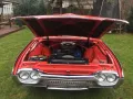 Ford Thunderbird 1962 Bullet Bird HT Coupe Mega Optik