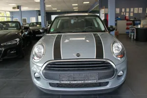 MINI ONE Salt