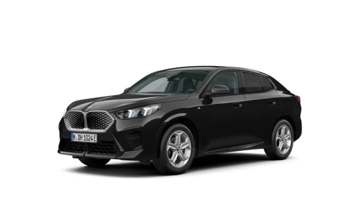 BMW iX2 eDrive20 M Sport AHK DA+ Aktivsitz RFK hk Hi