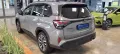 Subaru Forester 2.0 ie 100 kW AWD Platinum, AHK