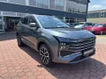 JAC 8 Pro,Kamera, FullLink, Pano, SHZ, 7-Sitzer