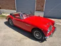 Other Austin Healey Altro 3000 MKII BJ7