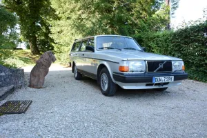 Volvo 245 DL