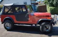 Jeep CJ-7 Renegade - Baujahr 1979 - TÜV neu 