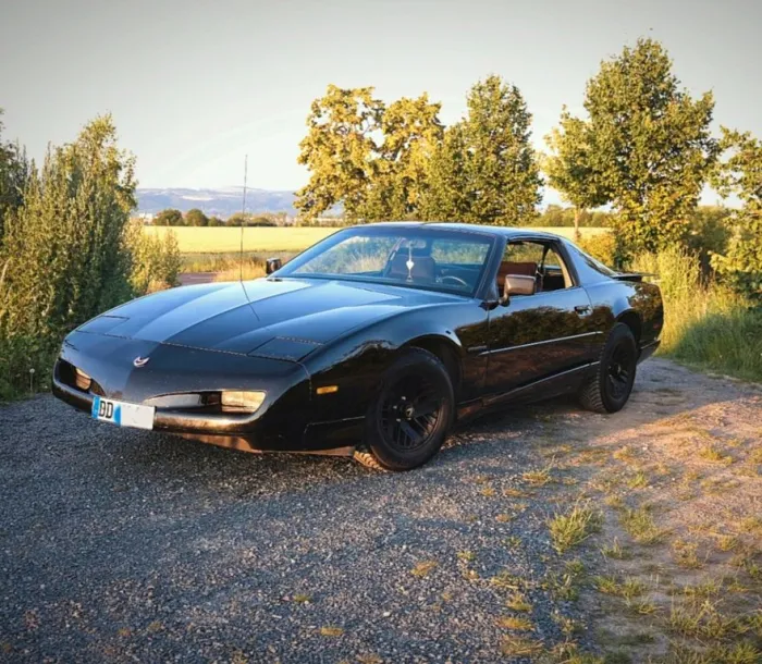Pontiac Firebird Targa/Cabrio HU Neu