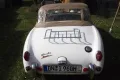 Austin Healey Sprite