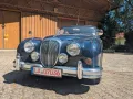 Jaguar Daimler 250 V8