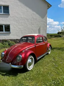 Volkswagen VW Käfer Faltdach