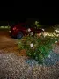 Alfa Romeo MiTo 1.4 TB 16V MultiAir Quadrifoglio Verde ...