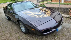 Other Pontiac Firebird Trans-Am Oldtimer