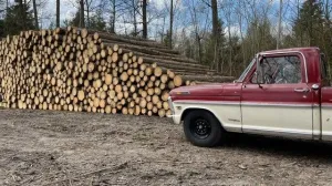 Ford F 250  *H-Kennzeichen; Patina*