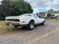 Other Pontiac Firebird Formula 1979
