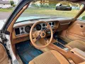 Other Pontiac Firebird Formula 1979