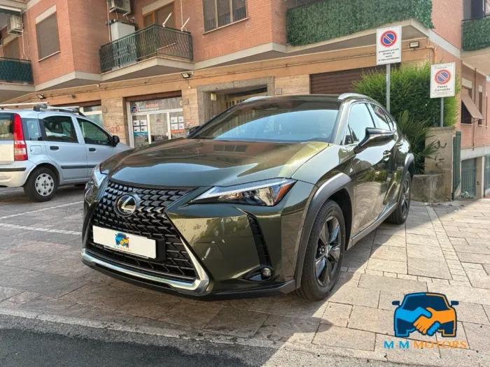 Lexus UX 300h 2.0 Urban 2wd cvt 199 cv