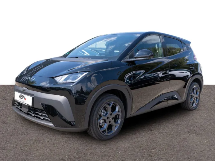 BYD Dolphin Surf Comfort Navi LED RFK ACC 43,2kWh