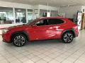 Lexus UX 250h Style Edition PDC SHZ KAMERA ACC LED