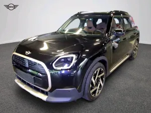 MINI Favoured Trim