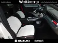 Smart #3 25th Anniversary (Brabus/Premium) 1.Hand 66kw