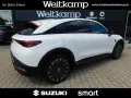 Smart #3 25th Anniversary (Brabus/Premium) 1.Hand 66kw