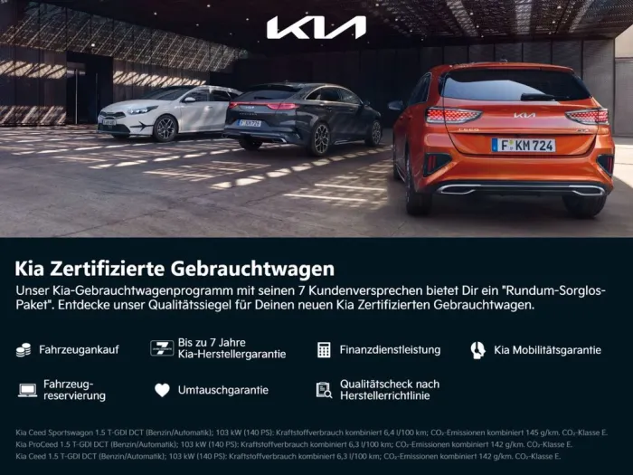 Kia EV6 Elektro Earth AWD NAVI LED ACC ASSISTENZ