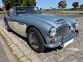 Austin Healey 3000 H-Kennzeichen Mark 3