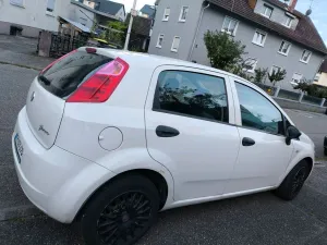 Fiat punto  zum Verkaufen
