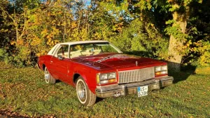 Other Buick Regal Coupe 1976