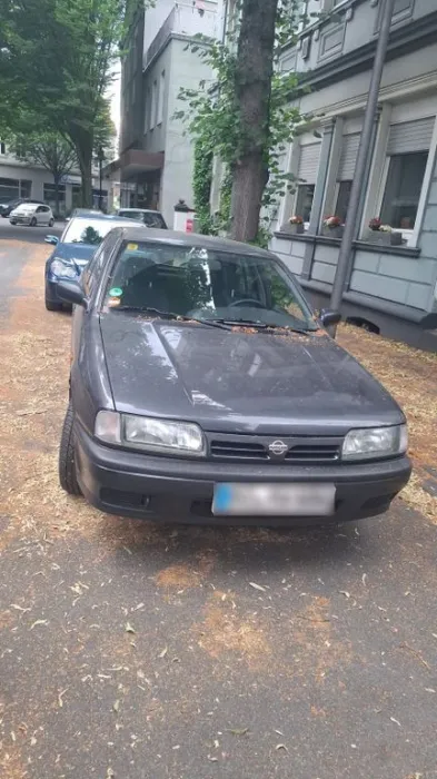 Nissan Primera Benzin  1. Hand  fahrbereit