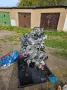 Mercedes-Benz C124  300CE Coupe Projektaufgabe