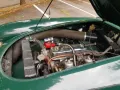 MGA