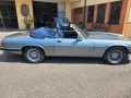 Jaguar XJS 5,3 V12 Cabriolet In Top Zustand 