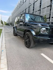 Mercedes-Benz G 450 d AMG Line - Schöckl Proved 