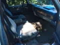 Chevrolet Chevy Suburban 5,7 V8 2wd HU neu H-Zul. us...