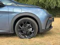 BYD DOLPHIN Design