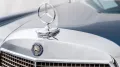 Mercedes-Benz W100 600 SWB