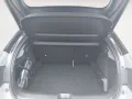 Nissan Leaf 75 kWh Advance  Assistenzsysteme Rundumkame