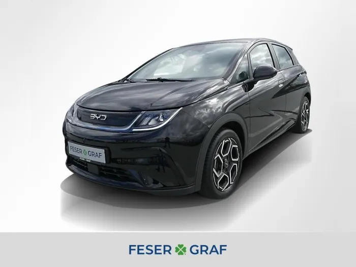 BYD Dolphin 150 kW Comfort 360° ACC LED Navi Sitzh.